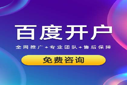 SEM竞价推广案例：低成本高效益的秘诀揭秘